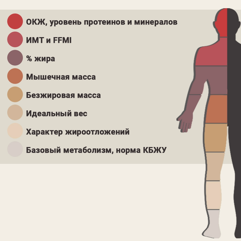 Изображение Показатели состава тела. Расшифровка и интерпретация 